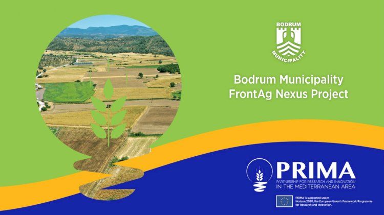 PRIMA FRONTAG NEXUS